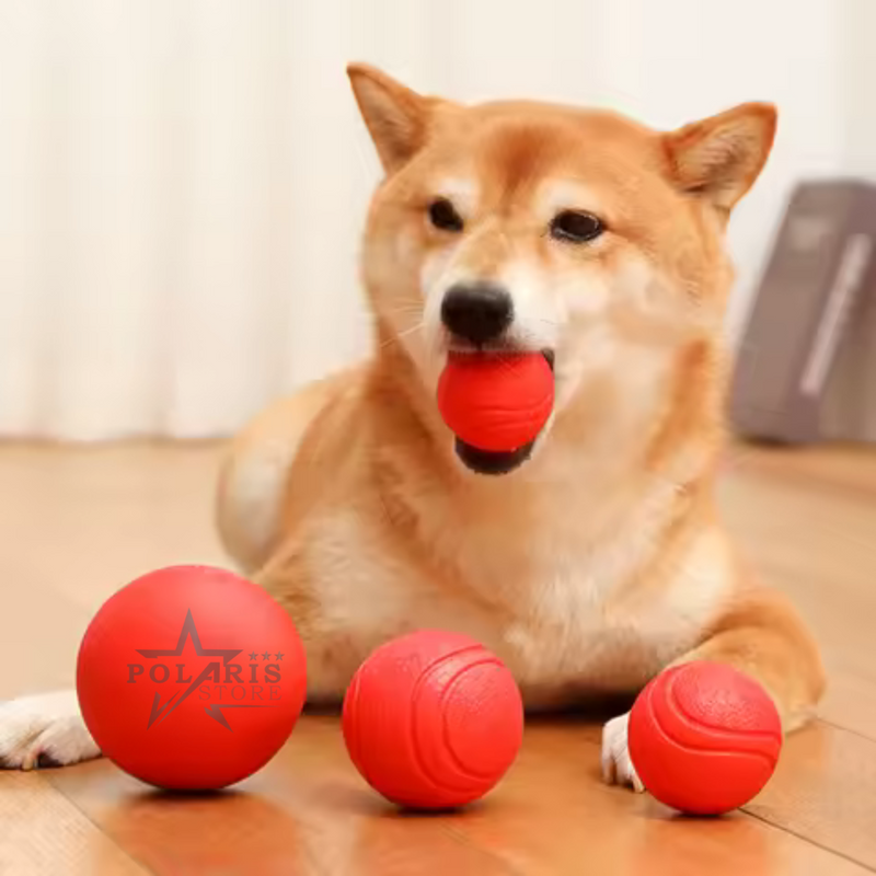SÚPER BOWL - PELOTA TERAPEUTICA [50%OFF]
