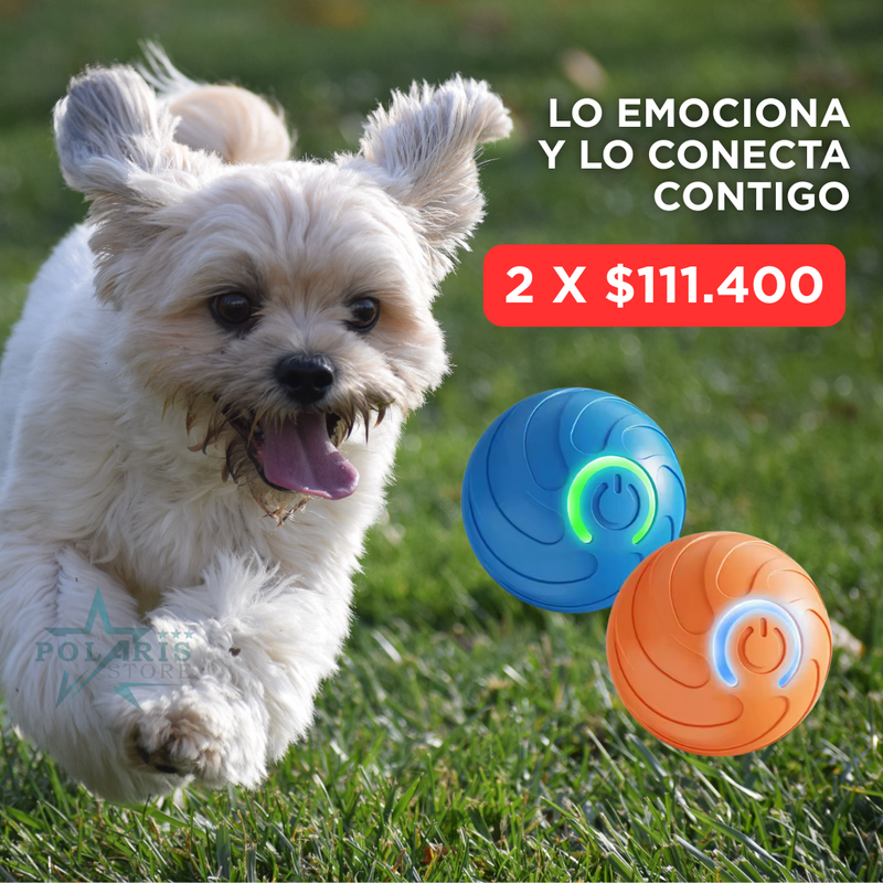 SÚPER BOWL - PELOTA TERAPEUTICA [50%OFF]