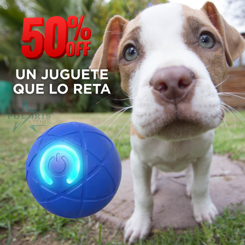SÚPER BOWL - PELOTA TERAPEUTICA [50%OFF]